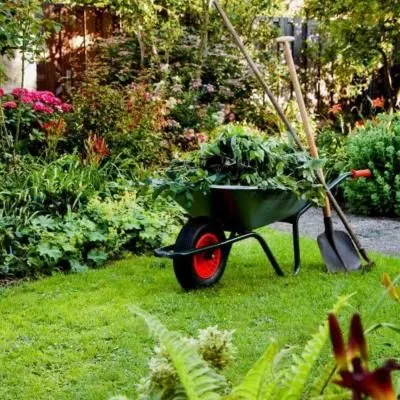 Садовые работы в Июне