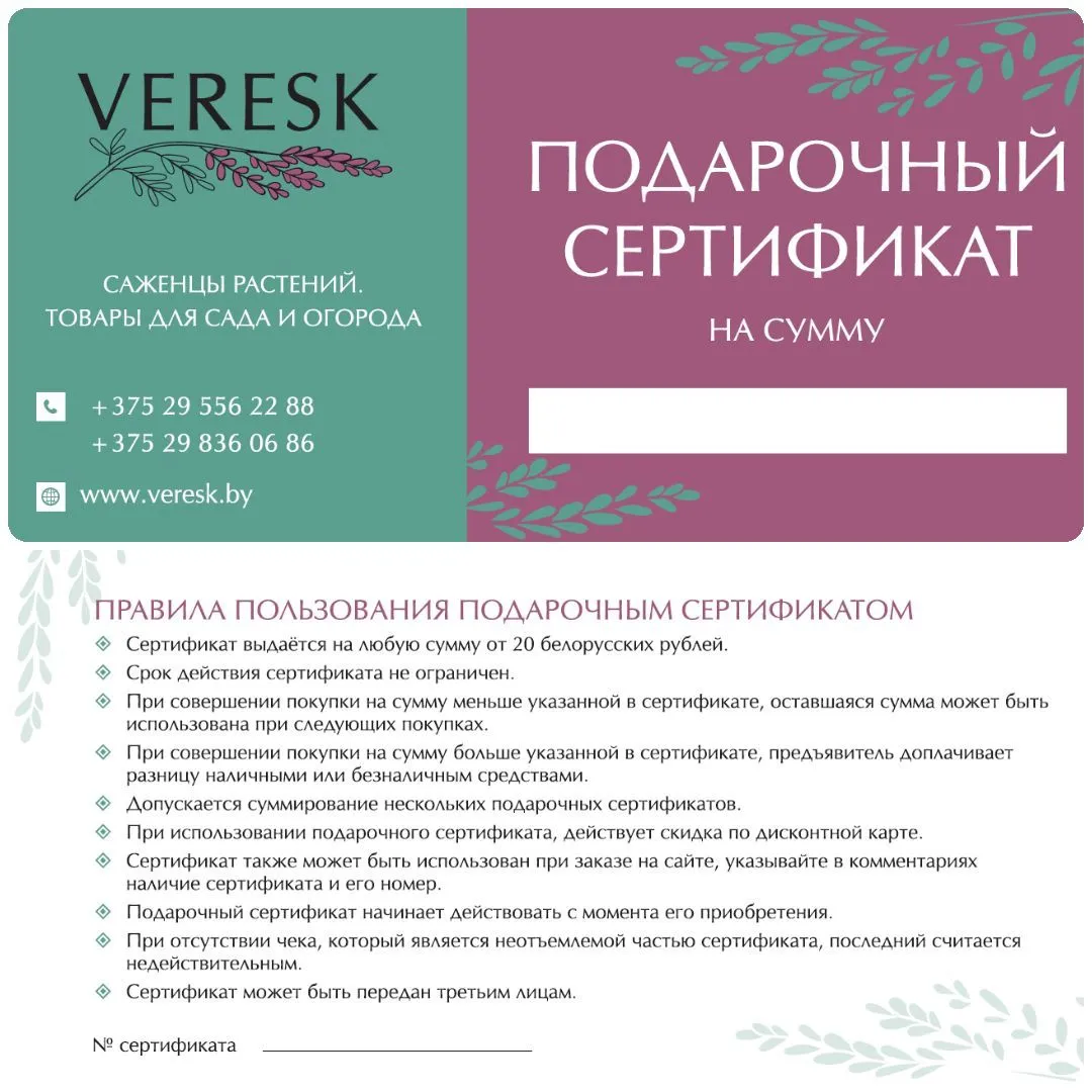 Подарочные сертификаты Подарочные сертификаты