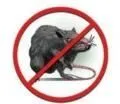 Родентициды (от мышей и кротов)