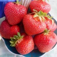 Клубника Элиани