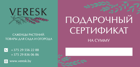 Подарочный сертификат