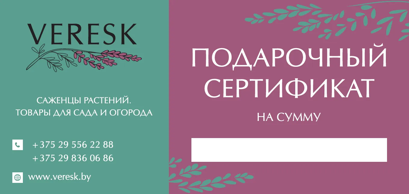 Подарочный сертификат саженец в горшке купить в Бресте и с доставкой почтой  |VERESK